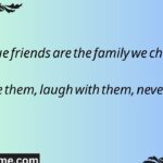 89+ English Dosti Shayari for Every Mood of Friendship 2026