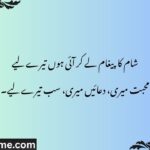 _Best Good Evening Messages for Girlfriend or Wife 2026