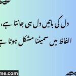 دل کی باتیں دل ہی جانتا ہے، الفاظ میں سمیٹنا مشکل ہوتا ہے۔