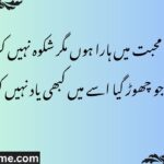محبت میں ہارا ہوں مگر شکوہ نہیں کرتا جو چھوڑ گیا اسے میں کبھی یاد نہیں کرتا