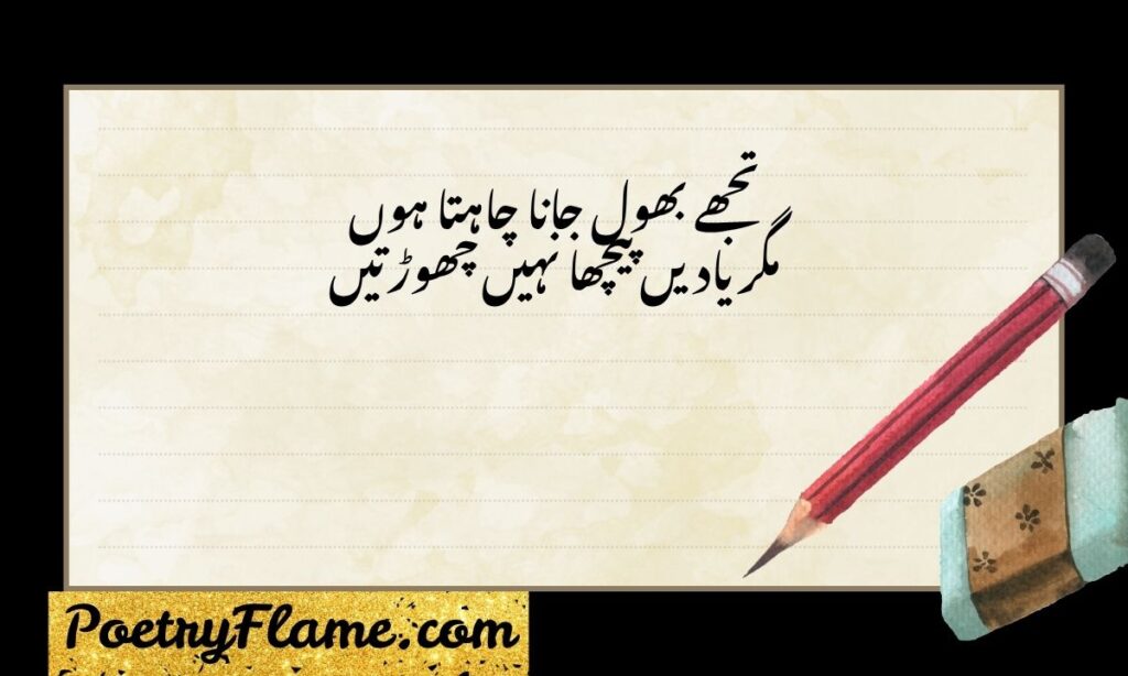 Sad shayari Jaun Elia