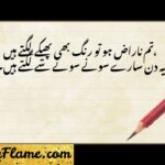 217+ Narazgi Poetry in Urdu Text – Heart-Touching 2 Line Shayari Collection (2026)