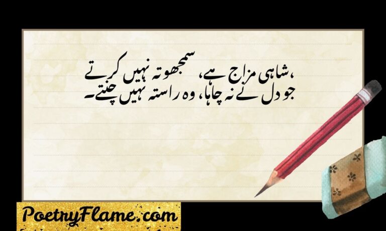 357+ Powerful Royal Attitude Shayari in English for Bold Personalities (2026)