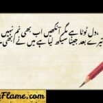 72+ Painful Breakup Shayari in English for Every Broken Heart (2026)